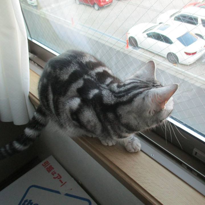 2c0c9a84 089b 49f6 9b21 ac95a8ea508e 1550365024540