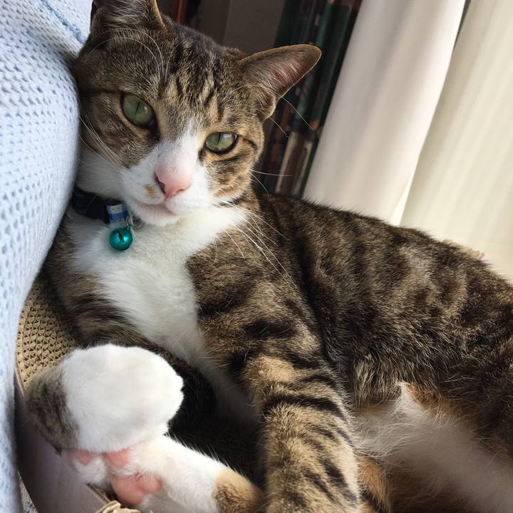 2c0cb510 8b40 4774 9394 2bc26cf3ce0e 1684200670609