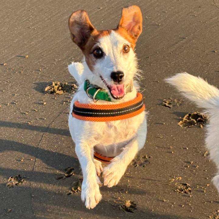 2c0cc4f1 4e2e 4c16 8992 d295f27f8acc 1761348110016