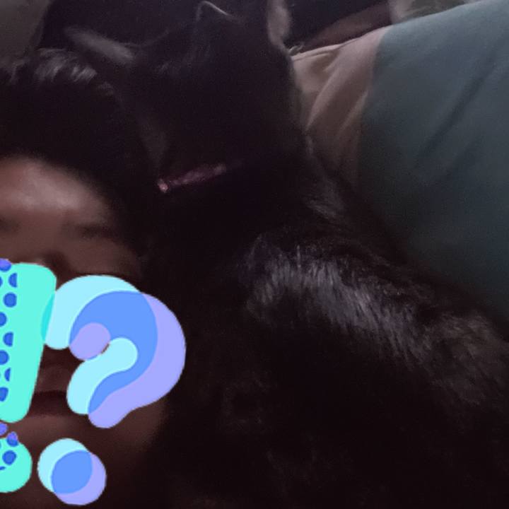 2c0ccb99 ca06 40f6 a5b6 fecaa68e5f77 1561367553060