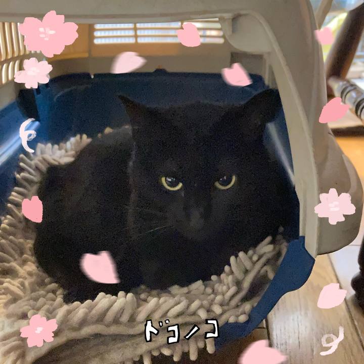 2c0cfd96 2c03 42a3 a9dd 7ba0385a6d4c 1744328895381