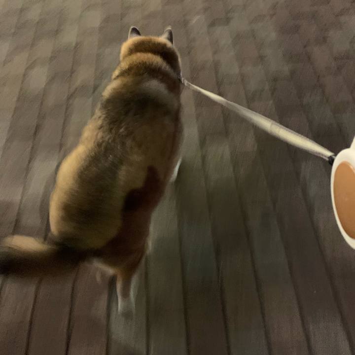 2c0d1608 b4c3 488c 81c7 3e923f50d0c0 1645618290115