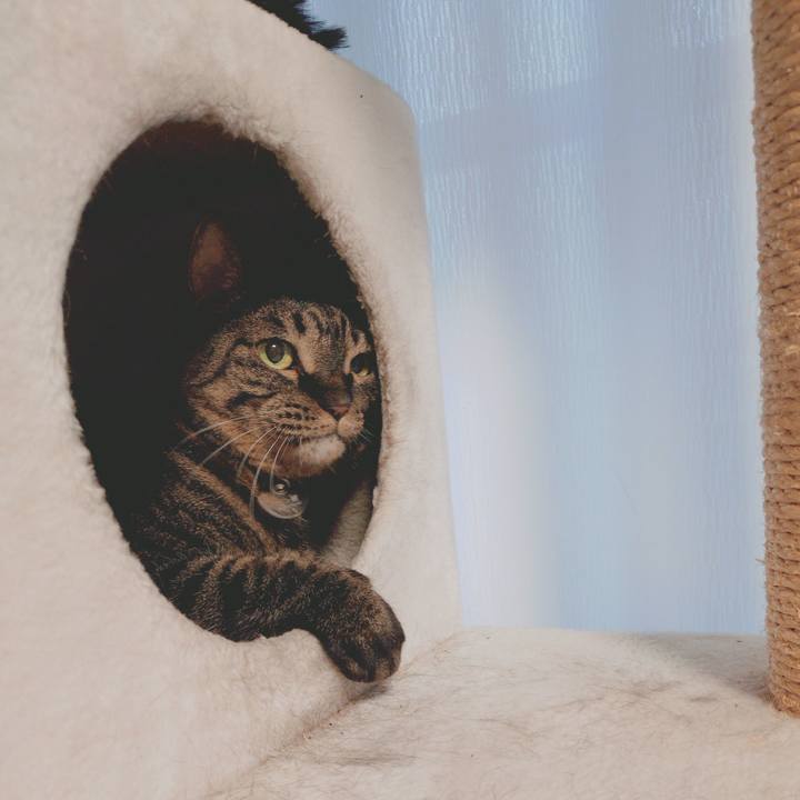 2c0d4c3a 421b 46c5 92bb 64a6d26eeece 1773563931004