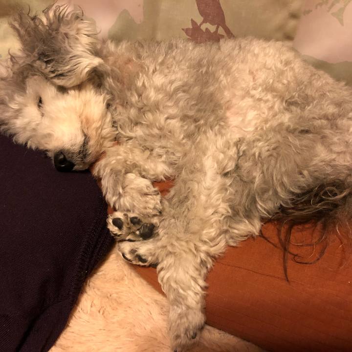 2c0d63bf 9923 469b 87b9 e57ea3c16676 1549798987795