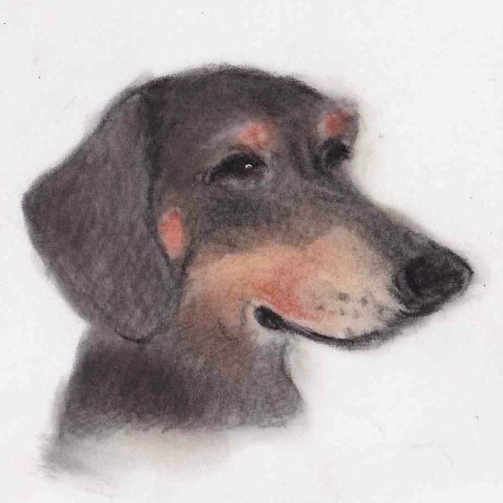 2c0d72b3 ce26 45b7 8bb8 22990e9d5f90 1629902506097