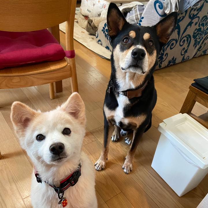 2c0d7315 d36c 49ec 8b0b 03de110e77a1 1698627418043