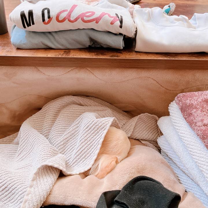 2c0d737e bf03 4303 a206 6bcdf17122ad 1676341409159