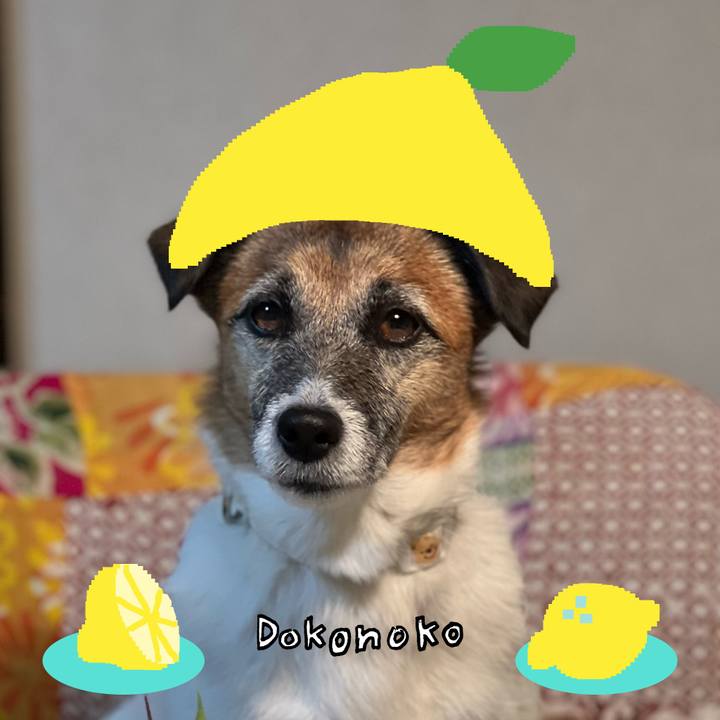 2c0db000 b45b 4ae4 bf47 5c856e597185 1741104550564