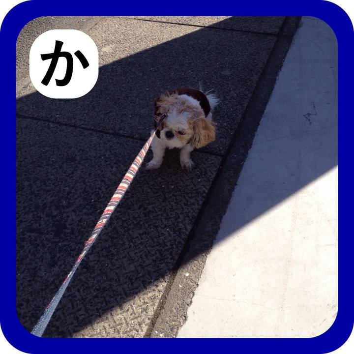 2c0db663 28a7 4719 8ced dc97441e68de 1515022023898