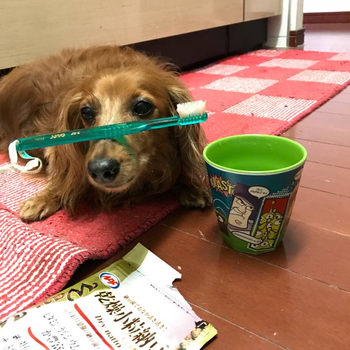 2c0dc4fb a58b 4a34 8f54 279ac8ff829f 1530184491316