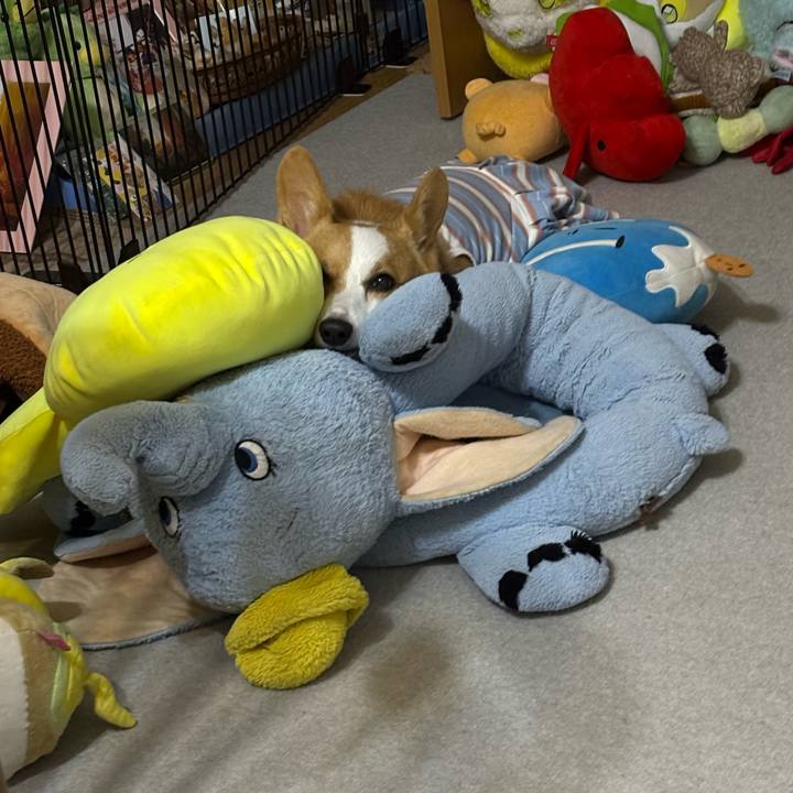 2c0dd710 2b22 4141 a2af 799c73c56da7 1757692810180