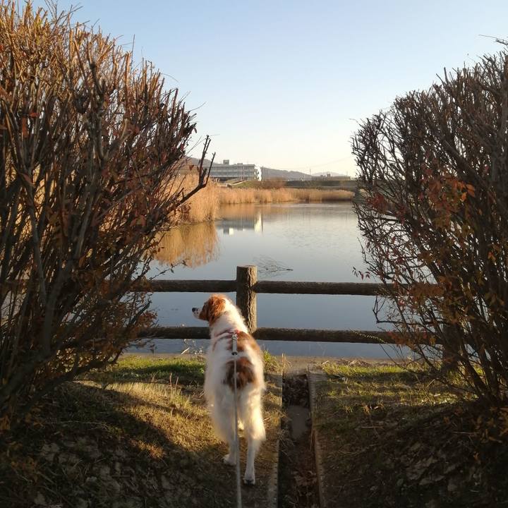 2c0dd9b1 294b 4e73 b16f 586fec1fef0c 1580817935998