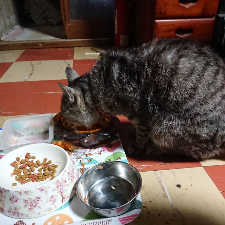 2c0dea3d 5c57 4df1 b2e0 5652c999b124 1588537422686