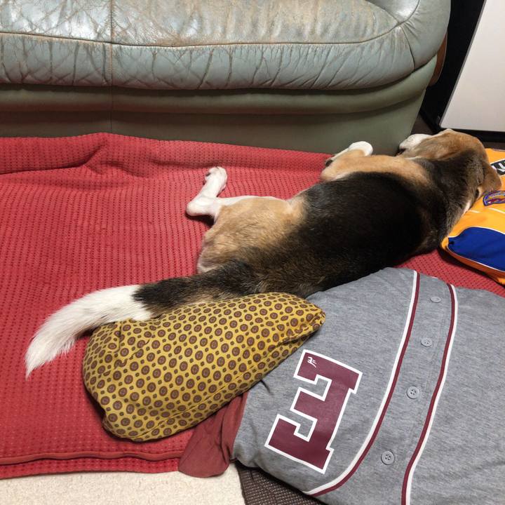 2c0e32fe 3872 4cc2 8f89 3badefc6b7a2 1562413739801