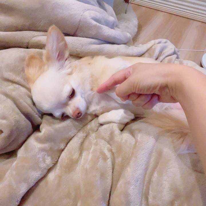 2c0e4bbf bc3c 4124 b767 4630ee55e68a 1694088870625