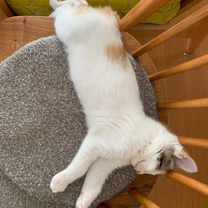 2c0e7242 27bf 4134 a844 c5aff61114e1 1592888088137