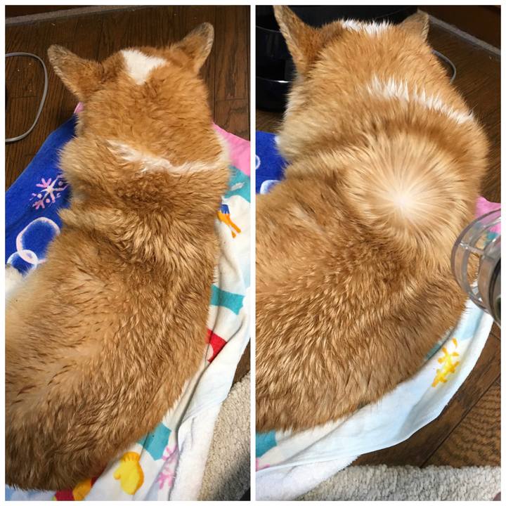 2c0e924a c781 4dad bd11 cbe131915dc4 1551666080783