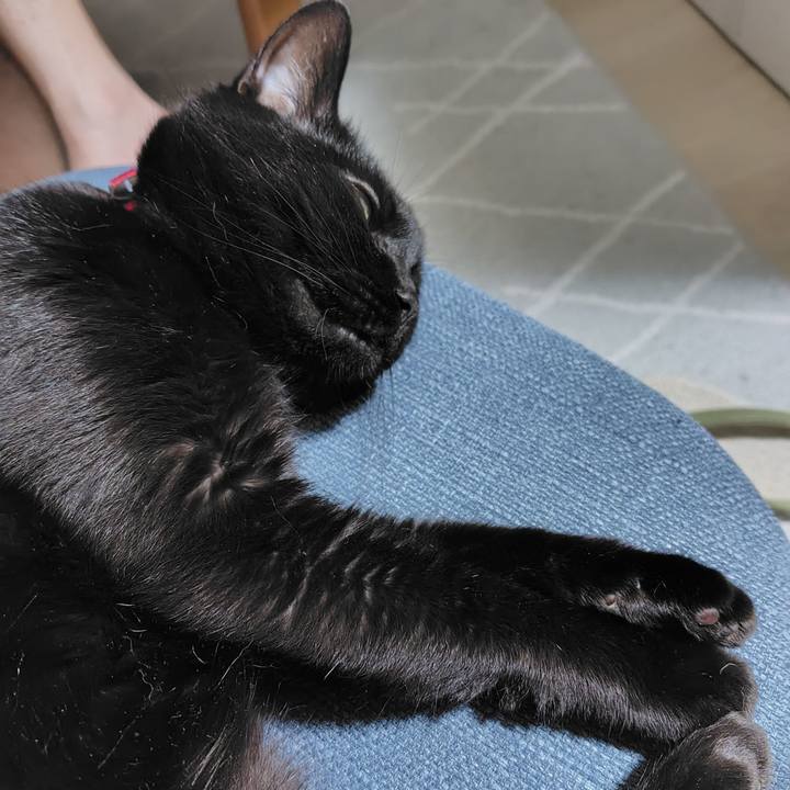 2c0eb5d6 6ceb 4e25 b698 a5ffbc317fb9 1720178898827