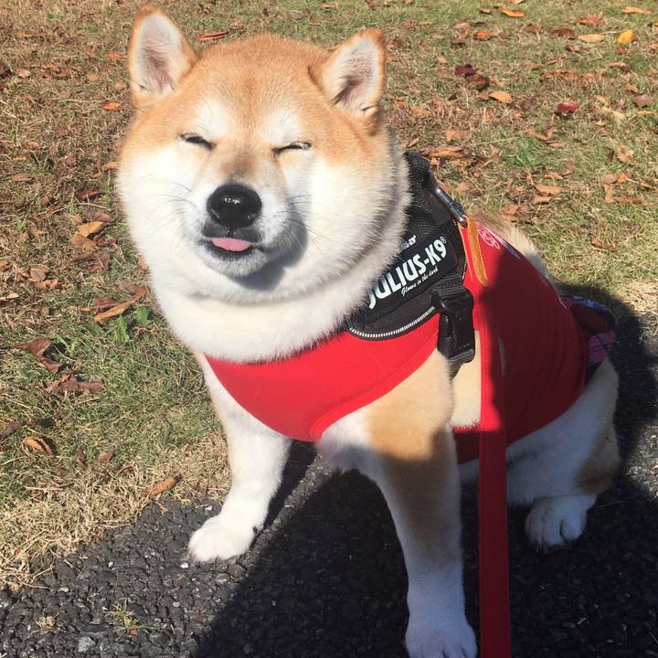 2c0ebc01 40c4 4efd aa98 53a7fa7ad4df 1574998444988