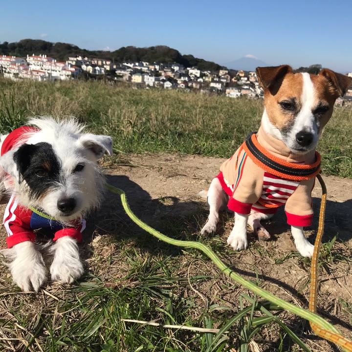 2c0ed9e7 39f8 4811 a777 5cb0bde0a26c 1540858613562