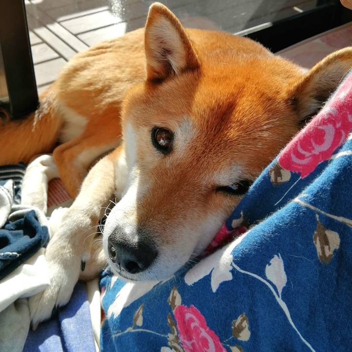 2c0f1486 d9e6 42a6 9298 36ffa3bc6714 1644052465552