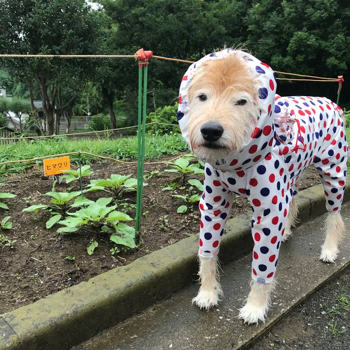 2c0f180c 0a40 46fe a2dc 9a2026002cbf 1625416735813