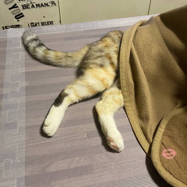 2c0f782c e25d 4ce3 bfd0 8f1aed28b02b 1607872834771