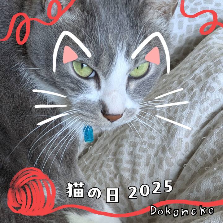 2c0f99ed 996a 4589 b3cb 8df33e9f3143 1740449299760