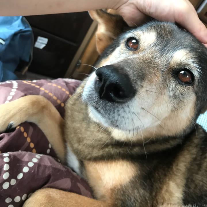 2c0f9b6a 6755 4808 8901 b425645f4c06 1511720314275