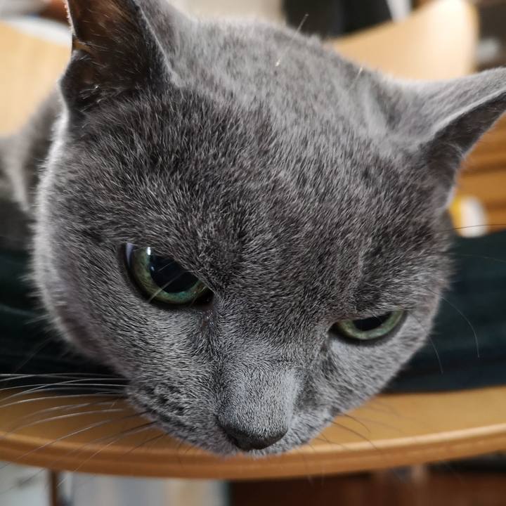 2c101647 d58a 45fe 994e 0b6bb323515e 1601677382744