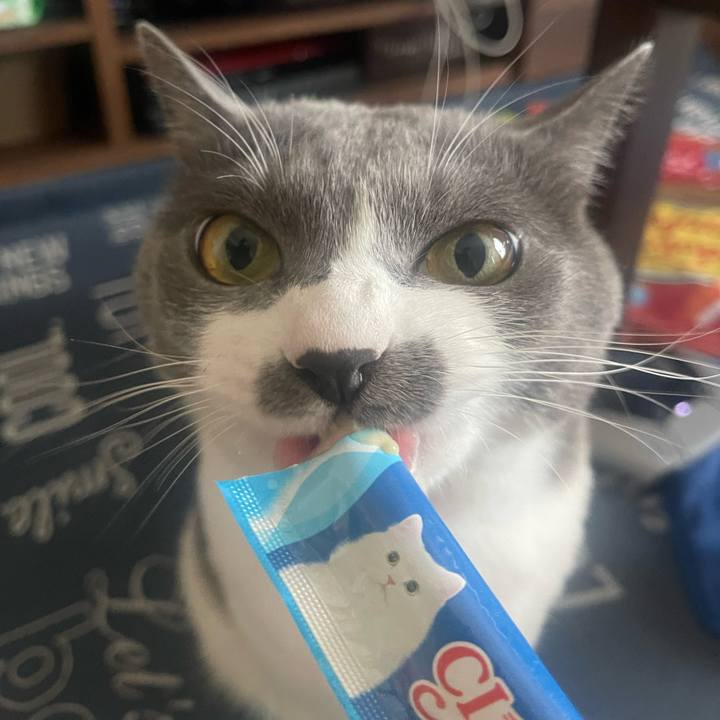 2c102901 f041 4fe3 a48d 1d55d555f816 1694847905984