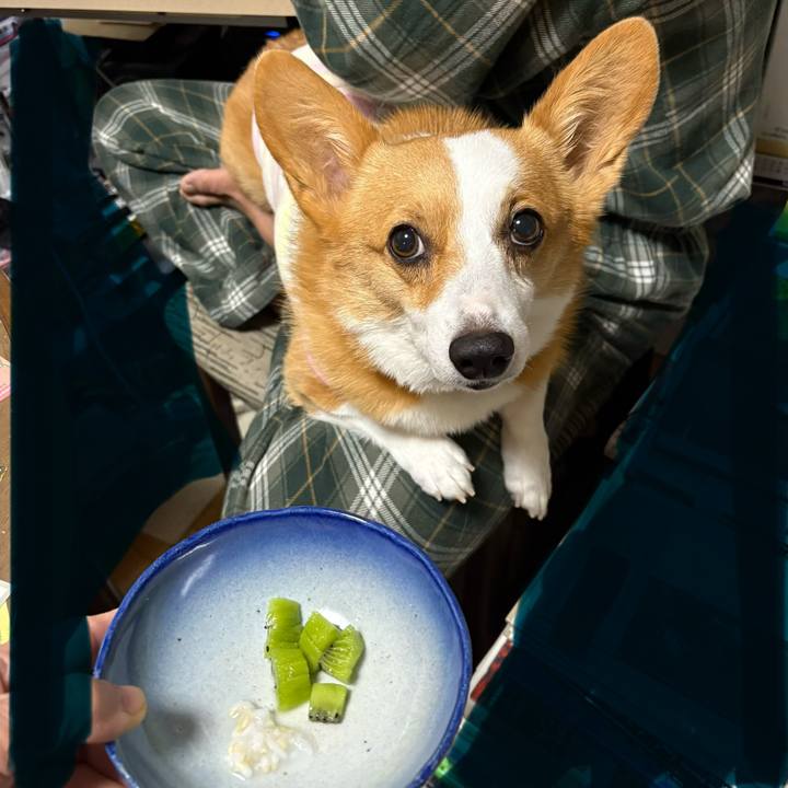 2c103ca6 eff2 4b73 b371 c4da6cdc5d61 1767737227305