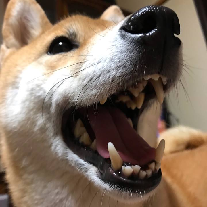 2c1089e9 96a1 4a1c b2f1 756173436609 1556709665957