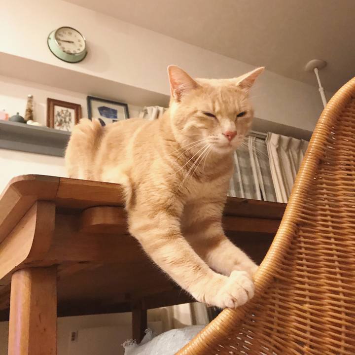 2c11425f a66b 42bf a8f8 b0362d15389e 1595687595857