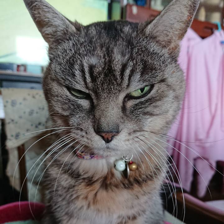 2c120035 9c73 405f 8806 cf741b21e62c 1581221612702