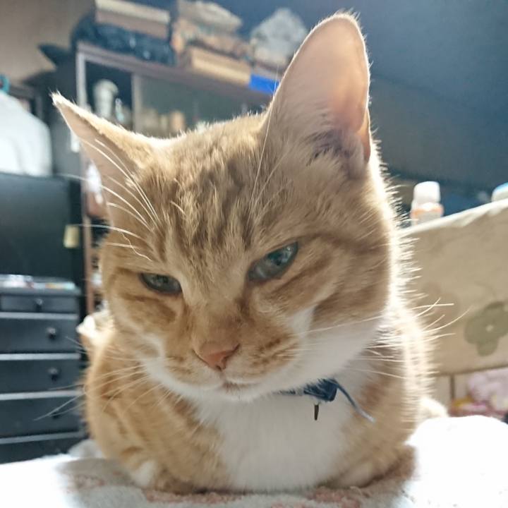 2c12207d 5037 432b b280 bd2253ea7c70 1606682427632