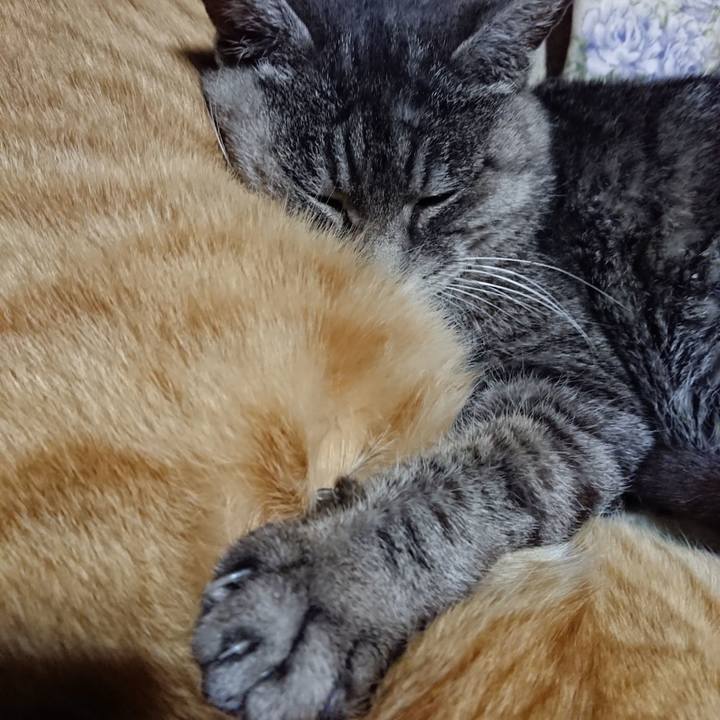 2c123093 91a8 4c22 9d93 5fec944e4f27 1576328049369