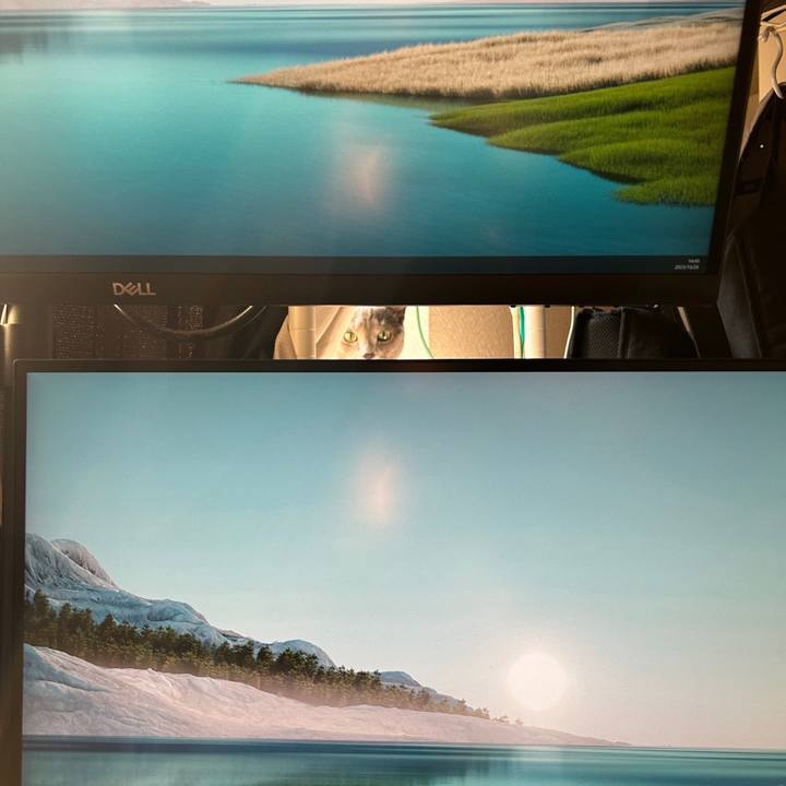 2c123c4f 9857 4ae1 a905 8b9d74a03529 1698483759991