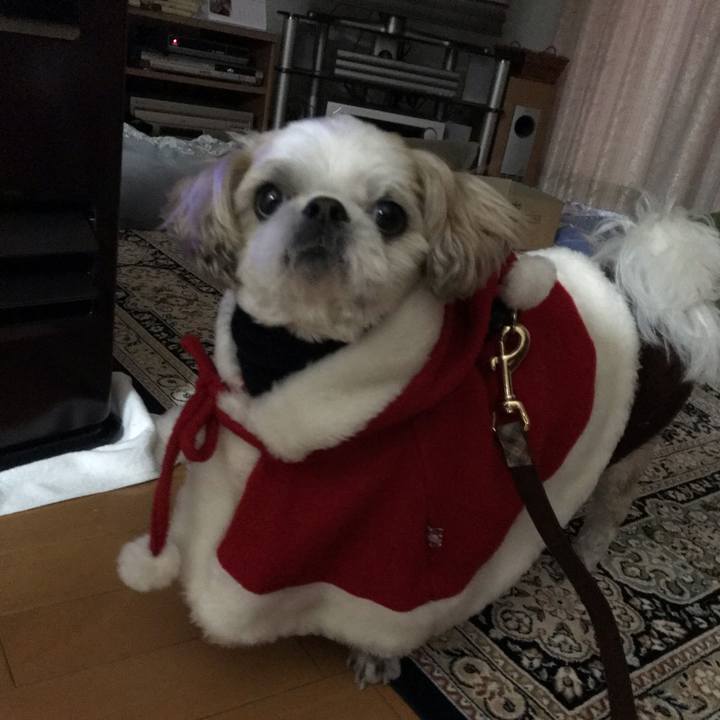 2c1257b7 0622 4cf8 a194 e224eee185c9 1545601198264