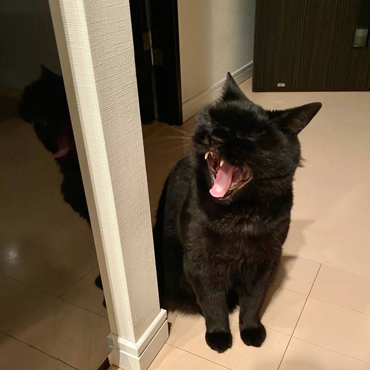 2c12fcd2 cc72 4519 8262 e21eb79a8e80 1751290027444