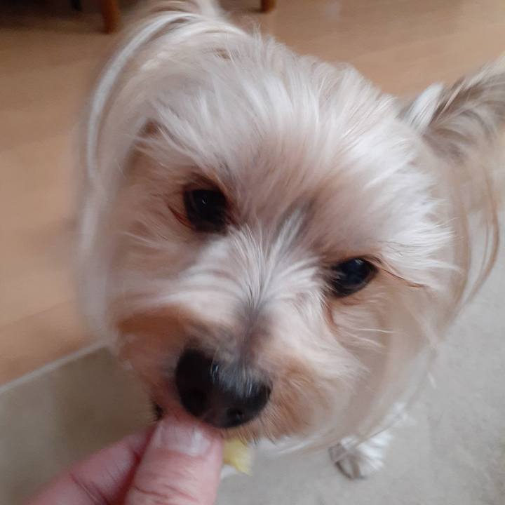 2c132312 73c4 46d6 ab3d ba5a7d8b5047 1642572330240