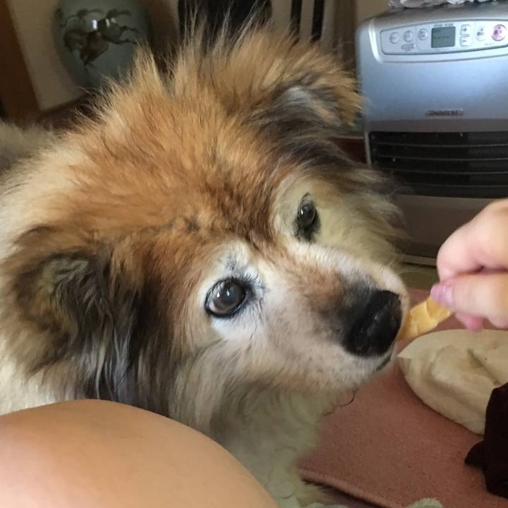 2c133beb 63a8 4f06 9f9d a1cd0a92034c 1587354413917