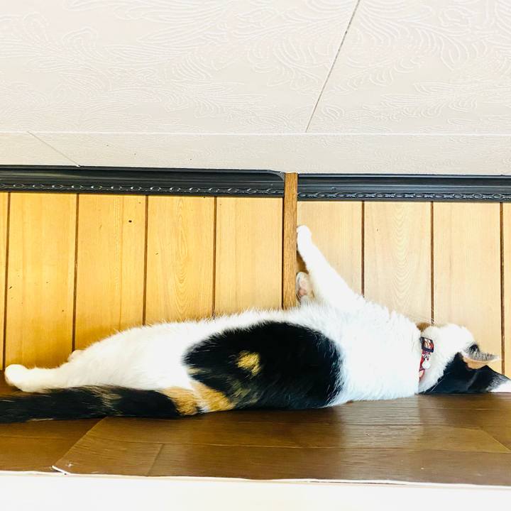 2c1349e1 acbf 4d8d bf04 9417e4262dd6 1659478015911