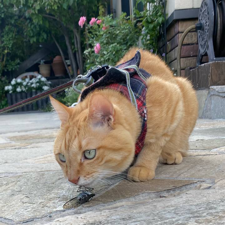 2c13779d cbb9 40d1 aad7 a12f93333161 1660865259222