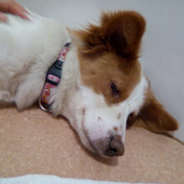 2c13cb1c 7ded 4c53 8260 30ed92163176 1518356877023