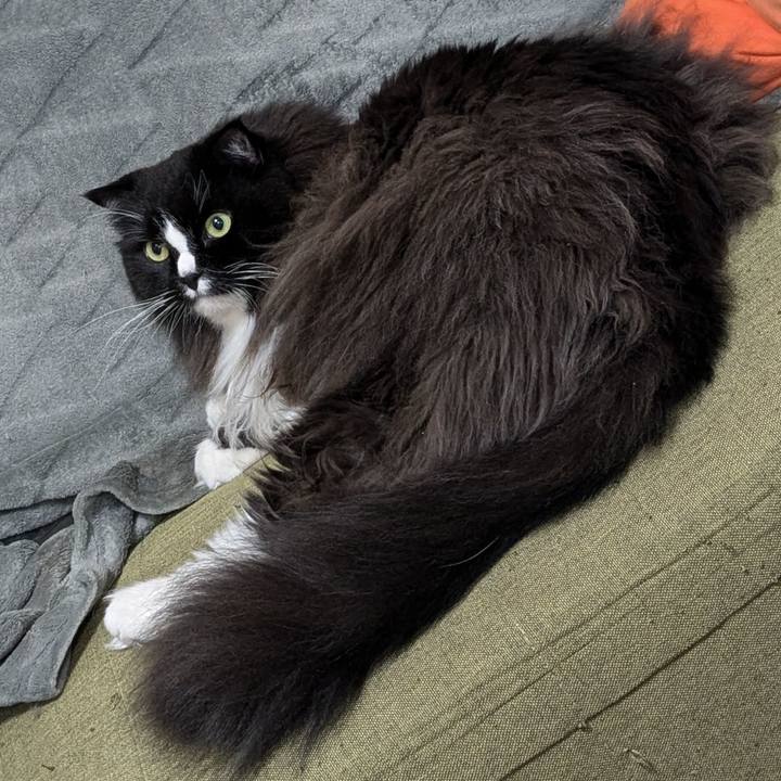 2c13e7cf c8ec 4852 b53b 7e8dfe487691 1730202889185