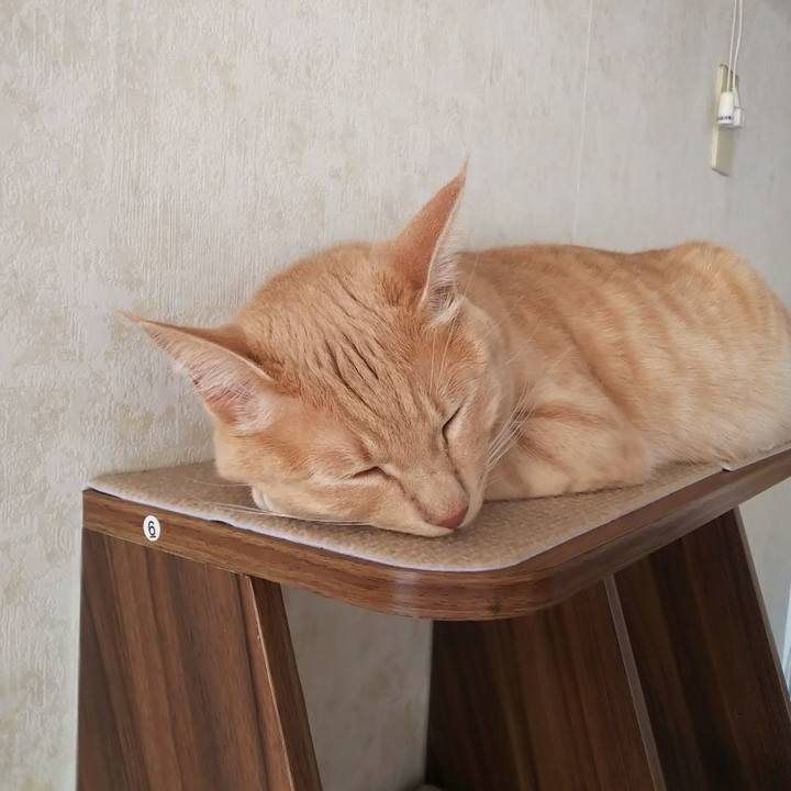 2c13f27c 6e65 4a0c a0e5 b554459f22ca 1569878750773