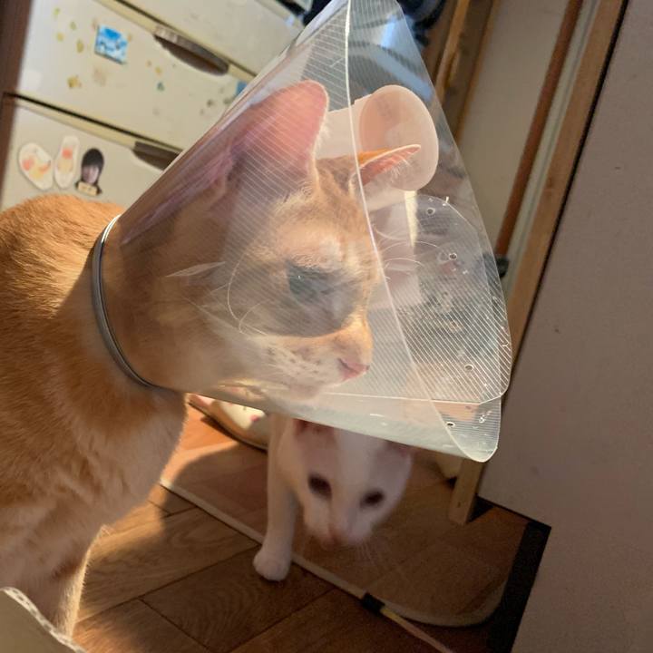 2c13f370 1d04 4d9f a28e 65ad146e74e4 1568813270708