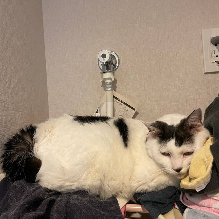 2c14301b df4e 4bbe a70a ecee38abc76f 1688186290914