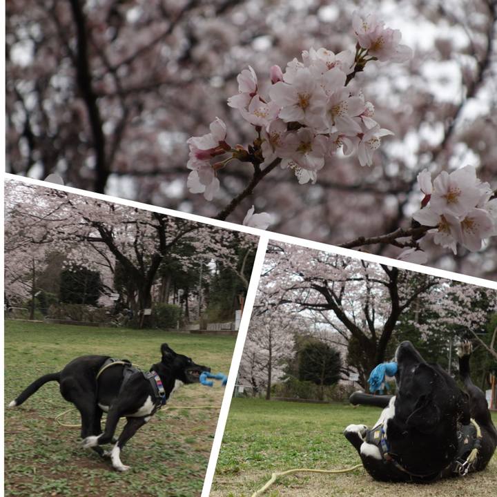 2c146f76 4672 4a1f 9f89 86c4c406a409 1648516154480